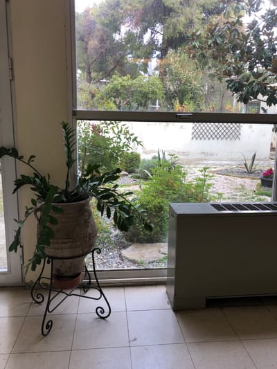 The image captures an indoor-outdoor scene, looking out from a room through a large glass door or window into a lush garden. The perspective is from inside, with the tiled floor visible in the foreground.
Indoors, on the left, a vibrant, leafy potted plant (possibly a Zamioculcas zamiifolia) is prominently displayed. It rests in a rustic, aged clay pot, which in turn is supported by an ornate black wrought-iron stand featuring scrolled legs. To the right of the window, a light-colored, rectangular appliance, possibly a heater or air conditioning unit with visible vents on its top surface, stands against the wall. The indoor floor is covered with light-colored square tiles.
The large glass barrier, likely part of a sliding door system, has a metallic frame and a latch mechanism visible in the center.
Beyond the glass, the outdoor garden unfolds under diffused daylight, suggesting an overcast sky. The ground is largely covered with light-colored pebbles or gravel. Various green plants and shrubs are scattered throughout the garden, contributing to a verdant landscape. A white wall with a decorative diamond-patterned trellis is visible in the mid-ground. Taller trees with dense foliage form the background, some appearing to be pines or similar evergreens. An agave-like plant grows near the white wall, and a large rock is partially visible on the right side of the garden closer to the window.
There are no people or visible text in the image. The scene suggests a peaceful residential setting, characteristic of the provided location context of Agia Paraskevi, Greece.