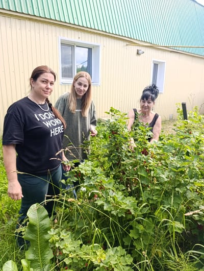Three women are standing outdoors in front of a building with a light yellow corrugated metal exterior and a green ribbed metal roof. A window with a white frame is visible on the building to the left, and a smaller window is visible on the right. The women are surrounded by lush green foliage and berry bushes laden with red berries. The woman on the left wears a black t-shirt with white text that reads "I DON'T WORK HERE," and dark pants. The woman in the middle wears a moss-green t-shirt. The woman on the right wears a black tank top. The scene appears to be a residential backyard or garden.