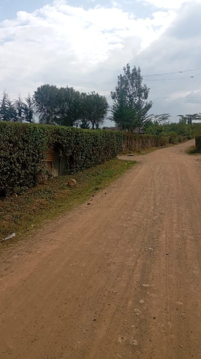 A dirt road divides, bordered by a dense green hedge on the left, featuring a weathered, boarded-up doorway. A fence constructed of vertical sticks continues the boundary. Trees dot the landscape beyond the hedge and fence under a cloudy sky. The road, composed of reddish-brown soil, shows visible tracks and scattered small stones. The scene conveys a rural or semi-rural environment.