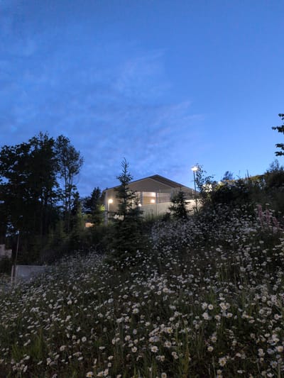 The image depicts a twilight scene at the Myyrmäki Sports Hall in Vantaa, Finland. A grassy embankment covered in numerous white daisies and some pink flowers slopes upward towards the building. The building, a low-rise structure with a light-colored facade and a dark roof, is visible in the upper right quadrant. Multiple windows on the building are illuminated from within, and a street lamp is lit on the left side of the building. Silhouetted trees, including deciduous trees and evergreens, are scattered across the hillside and behind the building. The sky is a deep blue with faint cloud formations. No people are visible in the image.