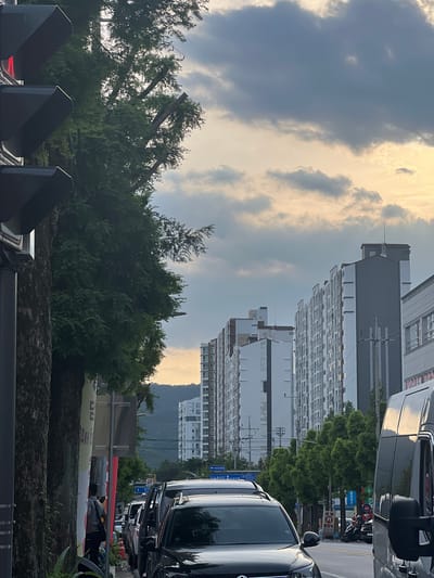 The image depicts a street scene in Gwangju, South Korea, under a cloudy sky with a hint of sunset light. A traffic light with a red signal is visible on the left side of the frame. Large, mature trees line the sidewalk, their dense foliage partially obscuring the background. Beyond the trees, a series of modern, multi-story apartment buildings dominate the skyline. The street is lined with parked and moving vehicles, including SUVs and a van. A pedestrian, carrying a bag over their shoulder, walks on the sidewalk. The presence of Korean signage on buildings and traffic signs confirms the location. The overall atmosphere is that of a typical urban environment in the late afternoon or early evening.