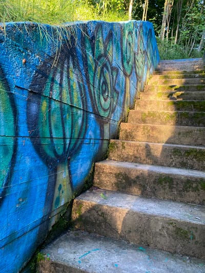 This is a medium-angle, eye-level, full-shot photograph of a concrete staircase partially covered in moss, leading upwards along a graffiti-covered concrete wall. The graffiti features abstract swirls and lines in shades of blue, green, and black. Tall green grass grows along the top edge of the wall. The sun casts shadows across the steps, highlighting the moss and the rough texture of the concrete. Trees are visible in the background, suggesting an outdoor setting. This scene is located in Voeikovo, Russia.