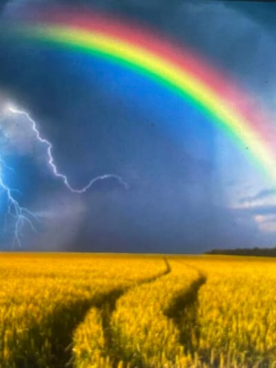 This image depicts an expansive agricultural landscape, identified as being in Zelenyi Hai, Ukraine. The upper portion of the scene features a dramatic sky, dark and overcast on the left, transitioning to a clearer blue on the right. A prominent, multi-colored rainbow arches diagonally from the upper right quadrant towards the center, displaying its full spectrum from red to violet. To the far left, a bright, jagged bolt of lightning illuminates the stormy clouds. The lower two-thirds of the image consists of a vast, dense field of uniform, golden-yellow crops, likely wheat or rapeseed, extending towards a distant horizon. Two distinct, dark, sinuous tracks cut through the yellow crops, leading from the foreground into the midground. A faint, dark line of trees or distant vegetation is visible along the horizon line. No human figures, animals, or specific man-made structures (other than the implied tracks) are present in the scene.