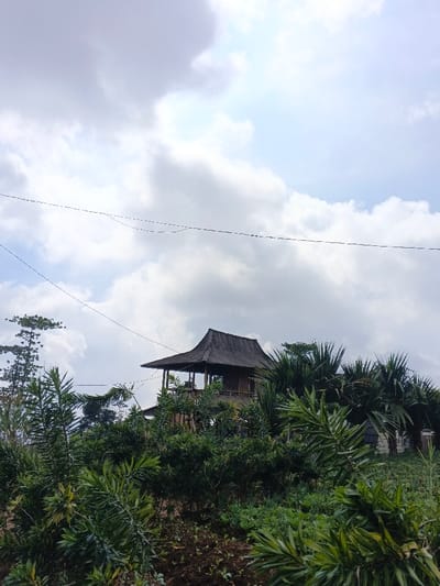 This image captures a rural or natural landscape in Maw Hit, Myanmar, under an overcast sky featuring scattered white clouds and patches of light blue. In the midground, an elevated traditional-style building with a distinctive dark, sloped roof (likely thatched or shingled) is visible. The structure possesses an open-air balcony or veranda, supported by visible vertical elements. Dense green vegetation, including various bushes and palm-like foliage, occupies the foreground and surrounds the base of the building. Multiple thin, dark power lines are present, stretching horizontally across the upper portion of the sky. No individuals, discernible actions, or interactions are depicted within the scene.
