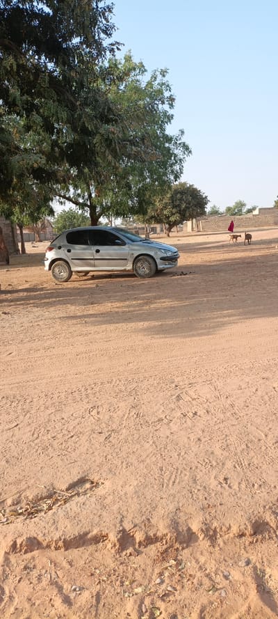 A silver Peugeot 206 is parked on a vast, dusty ground dotted with trees. The area appears rural, with a distant figure in red walking with two animals near a low wall. The ground is textured with tire tracks and sporadic vegetation. The scene is bathed in sunlight, suggesting a clear day.