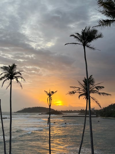 The image depicts a coastal scene at sunset in Thalaramba, Sri Lanka. Several palm trees are silhouetted against the sky, with their fronds extending into the frame. The sky is a mix of gray clouds and vibrant orange and yellow hues from the setting sun, with shafts of light breaking through. The ocean in the foreground has gentle waves, and its surface reflects the colors of the sky. In the background, a headland covered with vegetation and dotted with buildings is visible, along with a breakwater extending into the sea. The overall atmosphere is serene and tranquil, characteristic of a tropical evening.