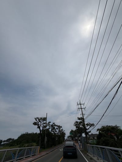 The image captures a view from a street, likely a bridge given the railing visible on the right. The sky is overcast with a slightly diffused sun peeking through. Multiple power lines crisscross the sky, creating a somewhat cluttered overhead view.

On the right side of the frame, a road runs alongside a low wall topped with a blue and silver metal railing. A black car with a license plate "074 4840" is driving on the road. Beyond the road, lush green trees and some buildings are visible. The trees are tall and some have distinctive, gnarled branches. A few utility poles with crossbars are also present, supporting the network of wires.

A few indistinct figures of people can be seen walking on the sidewalk or path next to the road, suggesting a modest level of pedestrian activity. The overall scene suggests a fairly ordinary day in a semi-urban or suburban area. The weather appears to be cloudy but not actively raining. No specific time of day is clearly indicated, but the diffused light suggests it could be morning or late afternoon. The location context of Jeju, South Korea, hints at the possibility of coastal scenery or a more tropical climate, which aligns with the dense greenery. There is no explicit emotional content conveyed by the image; it is a straightforward depiction of a street scene with urban infrastructure and natural elements.