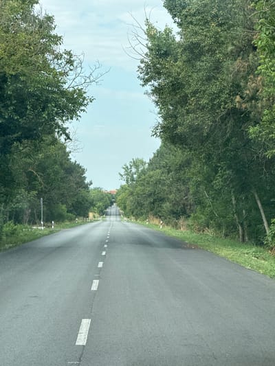 The image shows an asphalt road lined with dense green trees on both sides, creating a tunnel-like effect. The road has a broken white line marking in the center, and white markers with red tops are placed along the roadside at intervals. The road recedes into the distance, where a small cluster of buildings with red roofs is visible against a pale blue sky with scattered clouds. The scene appears to be in a rural or semi-rural area. The image is a photograph taken from a moving vehicle, likely a car, looking forward. There are no people visible in the image.