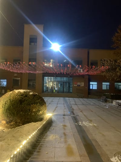 The image depicts the exterior of the Shenyang Normal University Library in Shenyang City, China, at night during winter. A multi-story brick-faced building, featuring a prominent central glass entrance, is the primary subject. Above the entrance, multiple strands of small red pennant bunting are strung horizontally across the facade. A powerful, unshielded overhead light fixture emits a prominent lens flare above the entrance, while interior lights are visible through the building's windows. In the left foreground, a large, spherical evergreen bush is heavily dusted with snow, bordered by a planter bed illuminated by a continuous strip of ground-level lights. The paved courtyard or walkway extending from the building entrance features a tiled pattern and scattered patches of snow and slush. On the right side of the paved area, snow-dusted benches are visible, and the bare branches of a deciduous tree partially frame the scene. No individuals are present.