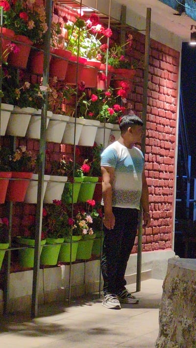 The image depicts a nighttime outdoor scene in Dharamkot, India, featuring a vertical garden wall and an adjacent brick wall. A male individual stands in the foreground, positioned slightly to the right of the frame's center. He has short, dark hair and is wearing a short-sleeved t-shirt with a white base, featuring blue patterns on the upper chest and shoulders, transitioning to a repeating 'D' letter pattern on the lower torso. He wears dark trousers and athletic shoes with white, grey, and black accents. His body is angled slightly right, and his head is turned further to the right, directing his gaze off-camera.

To the left of the man and occupying a significant portion of the background is a multi-tiered vertical garden structure constructed from dark metal frames. The upper tiers contain reddish-brown pots filled with green plants and numerous red and some lighter-colored flowers. A prominent artificial light source illuminates the plants in the upper-middle section of this garden. Below these, several tiers display white pots with foliage and light-colored flowers, followed by lower tiers with bright green pots containing green plants and clusters of red and pinkish-white flowers.

To the right of the vertical garden and behind the man, a wall constructed of red bricks in a stretcher bond pattern is visible. A light fixture is mounted on the upper right section of this brick wall. The man stands on a light-colored paved surface, where shadows cast by the vertical garden structure and the man himself are visible, indicating artificial illumination from multiple sources. The area beyond the immediate illuminated elements is dark.