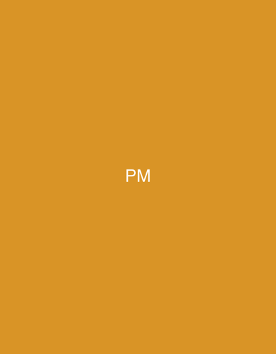 The image is a digital graphic featuring a solid, uniform ochre-colored background. Centered both horizontally and vertically on this background are the uppercase letters "PM" rendered in white. The typeface is a simple, sans-serif style. No people, objects, or environmental details are visible, and no actions or interactions are depicted. This abstract graphic is presented in the context of Dar Bouazza, Morocco.