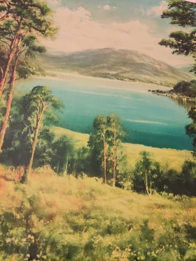 This is a painting of a serene landscape. In the foreground, a meadow dotted with small white flowers leads to a cluster of tall trees with rough bark. Beyond the trees, a vibrant turquoise lake stretches out, reflecting the soft blue sky and scattered white clouds. In the distance, rolling hills rise up, their slopes painted in muted greens and grays, topped by a hazy, light-colored sky. The overall impression is one of peaceful natural beauty. The image does not contain any information about the city of Krushev Dol, Bulgaria.