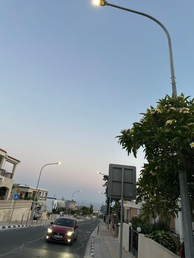 In Peyia, Cyprus, at dusk, a red Mazda hatchback with license plate PVY 916 drives up a paved road lined with sidewalks and residential buildings. A large streetlamp with its light on arches over the road. To the right of the road, a tree with white and yellow flowers stands beside a grey sign. Houses with beige walls and tiled roofs are visible on the left side of the road, as well as further down the street on the right. The sky is a gradient of pale blue and pink, indicating twilight.