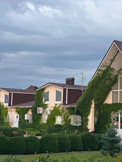 The image shows a building with a brown roof, covered in ivy. The building has several windows and air conditioning units on the exterior walls. In the foreground, there are manicured green bushes and some yellow flowers. The sky is overcast with gray clouds. The location is identified as Yaroslavskaya, Russia.