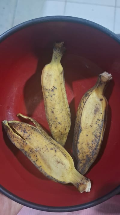 Three overripe bananas are in a red bowl. The bananas are yellow with brown spots, indicating ripeness. One banana's peel is partially open, revealing the fruit inside. The bowl is deep and appears to be made of plastic or a similar material. The background is blurred, but hints of a tiled floor and a pink fabric can be seen. The lighting suggests an indoor setting, possibly during the day. The overall impression is of a simple, everyday scene. The location is Batam, Indonesia.