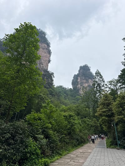 The image depicts a landscape in Luoguta, China, featuring tall, rocky mountain formations shrouded in mist and lush green vegetation. A paved walkway runs alongside the foliage, with a group of people walking along it. The sky is overcast with grey clouds.