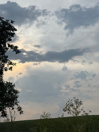 The media file is a photograph of a sky filled with clouds. The image is oriented vertically. In the foreground, there are silhouettes of trees with dark leaves and branches. The sky is a mix of grey and white clouds, with some areas showing a brighter, yellowish light, suggesting the presence of the sun either rising or setting. To the right of the image, there is a distinct vertical line separating the sky from a dense, green hedge or wall of foliage. The overall impression is of an outdoor scene, likely in a natural or semi-natural setting, given the presence of trees and the hedge. The time of day appears to be either dawn or dusk due to the lighting conditions in the sky. The weather appears cloudy. No people or specific objects are discernible within the frame, other than the natural elements. There is no visible text in the image. The location context is Ryahovo, Bulgaria.