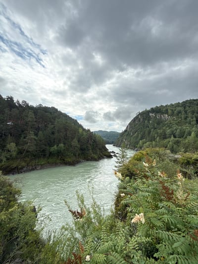 The image captures a scenic view of a wide, turquoise river flowing through a valley flanked by densely forested hills. The sky above is overcast with dramatic, grey clouds. On the left side of the river, a steep hill covered in dark green coniferous trees rises from the water's edge. A small, dark structure is visible nestled amongst the trees on this slope. On the right side, a similar forested hill slopes down towards the river, with rocky outcrops and a more varied mix of trees and undergrowth. In the foreground, lush green foliage and some flowering plants with white and reddish-brown seed heads partially obscure the view of the riverbank. The river itself is turbulent, with visible ripples and currents suggesting a strong flow. The overall scene depicts a natural, remote landscape. This location is likely near the confluence of the Katun and Chemal rivers in the Altai Republic, Russia, a popular tourist area near the town of Chemal.