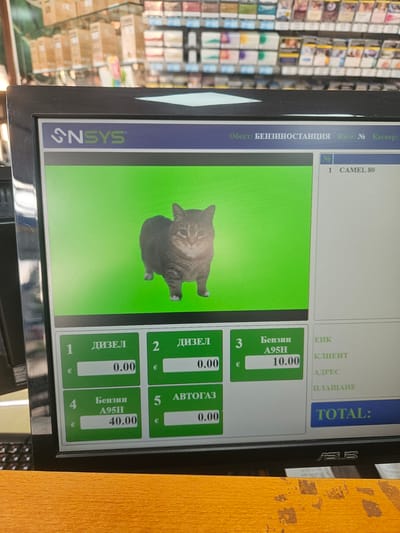 An indoor scene in Krumovo, Bulgaria, captured from a slightly elevated perspective, shows a close-up of an ASUS computer monitor displaying a point-of-sale (POS) or fuel management system interface. The monitor is black-framed.
The screen's upper left section features a logo reading "SNSYS". To its right, a blue banner contains Cyrillic text, identifying the "Обект: БЕНЗИНОСТАНЦИЯ" (Object: GAS STATION), "Каса: №" (Cash register: No.), and "Касиер:" (Cashier:).
The central and largest portion of the screen, a rectangular panel, displays a solid bright green background upon which a brown tabby cat stands. The cat faces forward, looking directly at the viewer, with its lower legs and left front paw partially obscured or merged with the green background.
To the right of this central green panel, a vertical white panel lists transaction details. A header reads "№", and below it, "1 CAMEL 80" is visible. Further down, empty fields labeled "ЕИК", "КЛИЕНТ" (CLIENT), "АДРЕС" (ADDRESS), and "ПЛАЩАНЕ" (PAYMENT) are present. At the bottom right of this panel is a blue button with the text "TOTAL:".
Below the central green panel, five green rectangular buttons are arranged, indicating fuel types and amounts in Euros (€). Button 1 is "ДИЗЕЛ" (DIESEL) with "0.00 €". Button 2, partially visible, is also "ДИЗЕЛ" with "0.00 €". Button 3 displays "Бензин A95H" (Gasoline A95H) with "10.00 €". Button 4 shows "Бензин A95H" with "40.00 €". Button 5, partially visible, is "АВТОГАЗ" (AUTOGAS) with "0.00 €".
In the blurred background behind the monitor, shelves are visible, stocked with numerous small, rectangular packaged items, consistent with a retail store or gas station convenience mart.
The foreground consists of an orange-brown wooden counter surface, exhibiting signs of wear, scratches, and darker stains. The monitor's "ASUS" logo is visible on its lower bezel.