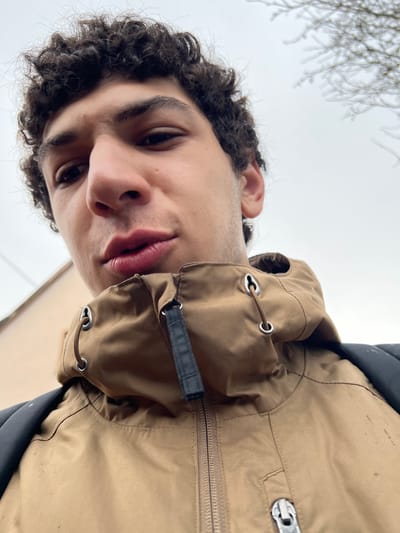 This image depicts a close-up, low-angle self-portrait of a male individual outdoors in Meistratzheim, France. The subject, a young adult male with dark, curly hair and a light complexion, looks directly into the camera. His mouth is slightly open, and his gaze is direct. He wears a light brown or tan hooded jacket, partially zipped, revealing a silver-colored main zipper. A black rectangular pull tab is attached to the zipper. The hood features light brown drawstrings threaded through metallic grommets. A portion of a black strap, consistent with that of a backpack, is visible over his left shoulder. The background is largely an overcast, light gray sky. Faint, defoliated tree branches are discernible in the upper right background. A light-colored building is partially visible and blurred in the upper left background.