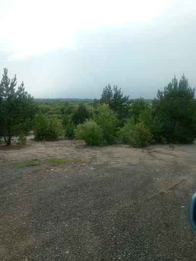 The image shows a natural landscape in Vasil'evka, Russia, under a cloudy sky. In the foreground, there is a gravel surface, possibly a road or parking area. Behind this, a sandy area is visible, sparsely covered with dry grass. A line of trees and bushes extends into the mid-ground, with several pine trees of varying sizes prominent. The background features a dense expanse of green foliage, indicating a forest or woodland area, with a faint, distant horizon line. The overall scene depicts an undeveloped or natural environment.