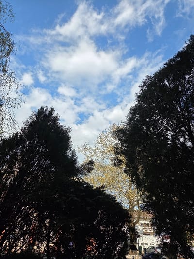 The scene presents an upward-angled view of a bright blue sky populated by scattered white cumulus clouds, indicating daytime. Dominating the lower and side portions of the frame are heavily shadowed, dense tree canopies, primarily dark green or black in appearance due to backlighting or shade. Centrally, a deciduous tree with light green or yellowish spring foliage is visible, appearing brighter than the surrounding dark trees. Through gaps in the lower-right foliage, sections of a multi-story, light-colored urban building with visible balconies are discernible. Below the building, an urban street or paved area is visible, containing a light-colored parked vehicle and at least two indistinct human figures, one appearing to wear dark clothing. The setting is an urban environment within the city of Gevgelija, North Macedonia.