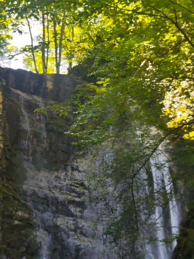 The image shows a waterfall cascading down a rocky cliff face. Lush green foliage, including trees and branches, overhangs the scene, with sunlight filtering through the leaves, creating a dappled effect. The waterfall is partially obscured by the vegetation. The rocky surface of the cliff is textured and appears damp in places, with streaks of what might be water or moss running down it. The overall impression is one of a natural, untamed landscape. This natural setting is located within the town of Teteven, Bulgaria.