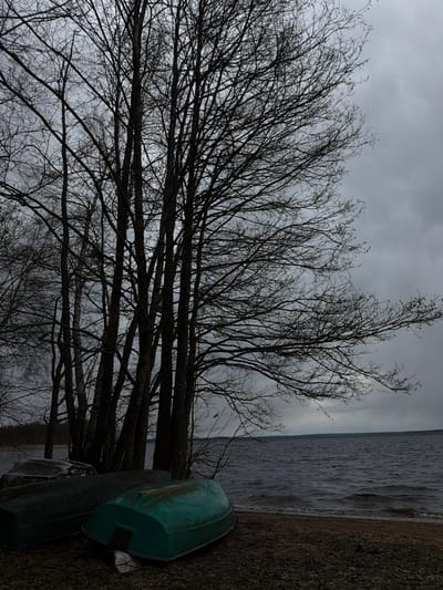 The image depicts a somber, overcast landscape, possibly near a lake or large body of water in Glubokoe, Russia. A dense network of leafless tree branches dominates the foreground against a grey sky. Two overturned boats, one green, rest on the shore near the tree line. The water is visible in the background, with a shoreline along the right edge of the frame. The overall scene evokes a sense of stillness and potentially cold weather.