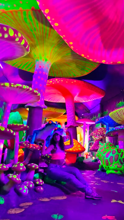A young woman is the subject in an indoor environment. The walls and ceiling are decorated with oversized, neon-colored mushrooms of varying shades of pink, red, green, and yellow, creating a fantastical forest-like setting. She is seated in front of a blue frog statue with a neon glow, possibly part of the decoration. She wears a bright pink top and blue jeans, and she is posing with her hands above her head.
The scene is brightly lit with colored neon lights, creating a surreal, almost psychedelic effect.
The description does not provide enough information to establish the city of Binh Lu, Vietnam, as the location, unless further context or identifiable markers are provided.