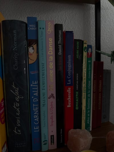 The image shows a shelf of books. The books are of various sizes and colors, and they are arranged in a row. Some of the books are standing upright, while others are leaning against each other. The shelf appears to be made of wood, and it is located in what appears to be a home environment. There are no people or animals visible in the image. The lighting in the image is dim, and it is difficult to make out the details of some of the books. The image quality is not very high. Based on the text on the books, which includes titles in French, it is possible that this image was taken in France. However, there is no specific information available to pinpoint the exact location within Fresnes, France.