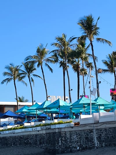 The image depicts a sunny scene at Finns Beach Club in Tibubeneng, Indonesia. Numerous light blue beach umbrellas are arranged in rows along a low wall, interspersed with dark blue umbrellas further back. Palm trees line the scene behind the umbrellas, with a partially visible "FINNS" sign standing behind them. Several people can be seen beneath the umbrellas. In the foreground, there is a stone wall and a glimpse of the beach. A string of lights hangs amongst the palm trees.