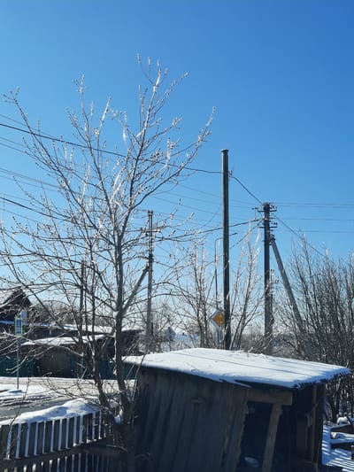 The image shows a winter scene in what appears to be a residential area of Krasnogorskoye, Russia. The sky is a clear, bright blue. Several bare trees with icy twigs stand in the foreground and midground. Utility poles with power lines are visible in the background. Part of a weathered, wooden structure with snow on the roof is on the right side of the frame.