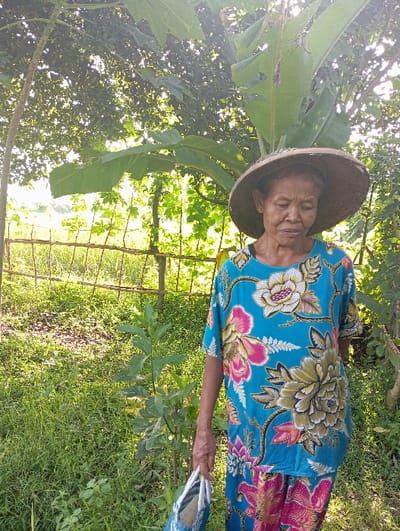 A female individual, appearing elderly, stands outdoors in a densely vegetated area identified as Waung, Indonesia. She is positioned right of the image's center, facing the observer with a neutral expression. The individual wears a wide-brimmed conical straw hat and a short-sleeved top and matching lower garment, both in a turquoise batik pattern adorned with large floral designs in shades of pink, white, and yellow. Her left hand holds a blue and white woven bag. The surrounding environment consists of abundant green foliage, including visible large banana leaves and other trees, with bright sunlight filtering through the canopy, creating dappled light. In the left background, a rudimentary fence constructed from slender wooden poles or bamboo borders an open, possibly cultivated, field.