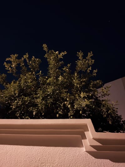 A tree with green leaves and some small, round green fruits is visible against a dark blue night sky. A white structure with a textured surface and layered decorative elements is in the foreground, partially obscuring the tree. The scene is illuminated by a warm light source, casting shadows on the white structure. The overall impression is that of an outdoor setting at night.
