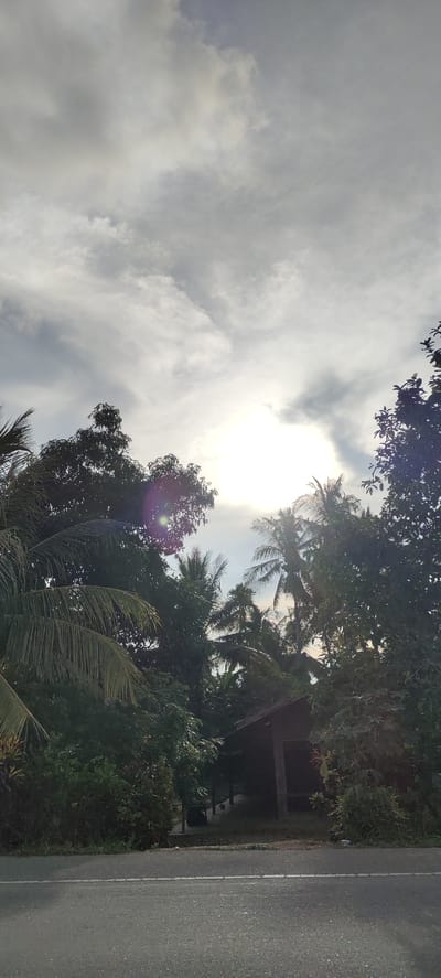 A vertical, low-angle photograph captures a tropical scene with a bright, sunlit sky partially obscured by clouds and lush green foliage. The sun is the brightest point in the sky, creating a lens flare effect on the left side of the image. Coconut palms and other dense trees form a natural frame, with their leaves reaching towards the sky. In the lower center of the image, a rustic, wooden structure with a dark roof is partially visible, nestled among the trees. In the foreground, a paved road with a white line marking runs horizontally across the bottom of the frame, suggesting a roadside setting. The environment appears to be rural or semi-rural, characterized by abundant vegetation and a simple structure.