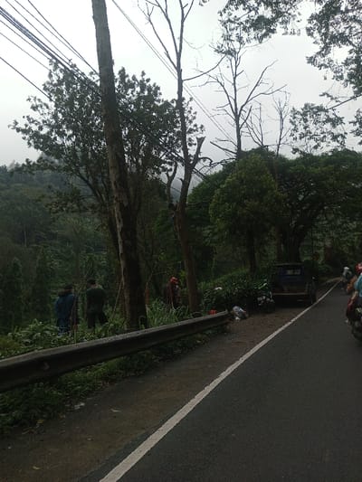 The image captures an outdoor scene along a winding road bordered by dense vegetation, likely in a hilly or mountainous region, under an overcast sky.
In the foreground, a dark gray asphalt road curves slightly to the right, with a solid white line marking its edge. A dark metal guardrail runs parallel to the road on the left side, separating it from a steep, heavily wooded embankment.
Beyond the guardrail, on the sloping terrain, are several trees and thick undergrowth. Two prominent tree trunks stand tall in the midground, with branches extending upwards. Several utility cables or power lines stretch across the upper part of the image, seemingly passing through or near the treetops. Some of the trees appear to have been recently pruned or are bare-branched, possibly for power line clearance.
On the left side of the embankment, three individuals are visible. Two people, one in a blue shirt and another in a green shirt, are standing on the slope, facing away from the viewer, looking down into the dense foliage. A third person, further to their right and slightly downhill, is dressed in an orange or reddish garment and appears to be engaged in some activity, possibly working with the vegetation or carrying an object. Long, thin poles or tools are seen extending from the ground near these individuals.
Further along the road on the right, a dark blue or black pickup truck is parked facing away from the viewer. A motorcycle or scooter is parked next to it. Some white plastic bags or debris are scattered on the ground near the parked vehicles. On the far right edge of the frame, partially visible, are at least two individuals on what appear to be motorcycles or scooters, traveling along the road in the same direction as the parked truck. They are wearing helmets.
The background consists of more densely forested hills, shrouded in a light haze or mist, which blends with the uniformly gray, cloudy sky. The overall lighting is diffused, indicating a cloudy day. There is no discernible text visible in the image.