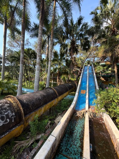 The image depicts an abandoned water park in Thủy Xuân Ward, Vietnam. The scene is dominated by overgrown palm trees and decaying water slides. The slides are constructed of concrete and metal, with faded blue paint and visible graffiti. Sections of the slides are filled with stagnant water and debris. Vegetation grows around and within the structures, indicating neglect and disuse. The sky is visible through the palm fronds, suggesting a sunny day. The overall atmosphere is one of decay and abandonment.