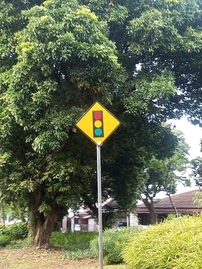 The image displays a yellow, diamond-shaped warning sign featuring a traffic light symbol, mounted on a silver pole. The sign shows a vertical black rectangle containing three circles: red at the top, yellow in the middle, and green at the bottom. The green circle is illuminated or highlighted, indicating it's "on."
The sign is positioned in the foreground, slightly to the right of the center. Behind and around the sign, a large, dense tree with lush green foliage dominates the background. The leaves are various shades of green, suggesting a healthy, mature tree. Sunlight appears to be diffused, possibly indicating an overcast day or the tree providing significant shade.
To the bottom right, there is a patch of vibrant green and yellow variegated shrubbery. In the mid-ground, behind the sign and between the trees, hints of distant structures with reddish-brown roofs can be seen, suggesting residential or other buildings. The ground in the foreground, beneath the main tree, appears to be covered with fallen leaves or debris, with some patches of green ground cover.
The overall scene suggests an outdoor setting, likely near a road or pathway where such a warning sign for traffic lights would be relevant, possibly in a suburban or park-like area due to the abundant greenery. No people or vehicles are visible. The lighting suggests daytime.