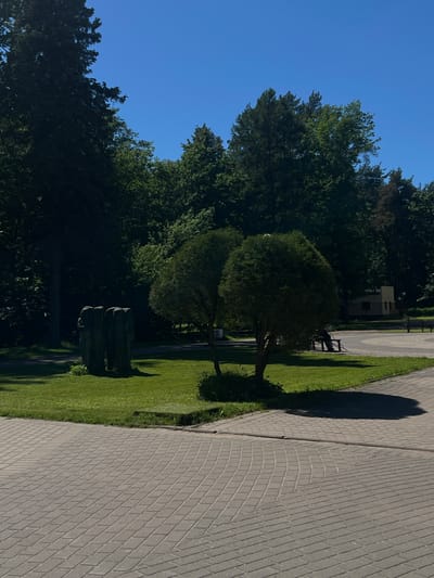 The image depicts a park-like setting in Zelenogorsk, Russia, on a clear, sunny day. In the foreground, a paved walkway with a distinctive curved pattern is visible. Beyond the walkway, a well-maintained lawn features a sculpture of three figures, appearing to be made of dark, weathered material. Two round, bushy trees stand on the lawn, casting shadows. In the middle ground, a person is seated on a park bench, facing away from the camera, with their back to the trees. Further in the background, a small building with a beige facade and a dark roof is situated amongst lush green trees. The scene is bathed in bright sunlight, creating strong shadows.