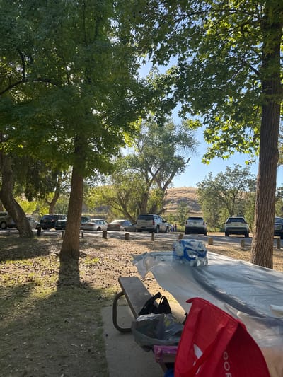 The image depicts a sunlit scene at a park in Friant, United States of America. In the foreground, a picnic table is partially covered with a clear plastic sheet. A six-pack of bottled water sits on the table, and a red shopping bag and several other bags are visible on or near the table. Behind the picnic table, a concrete path or road is lined with parked vehicles, including SUVs and sedans. Several trees with green foliage cast shadows on the ground, which is covered with dirt, leaves, and small pinecones. In the background, a grassy hill rises under a clear blue sky, with more trees scattered across the landscape.
