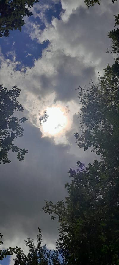 The image depicts a view looking upwards through foliage towards a partially clouded sky. The sun is a bright, blown-out orb visible through a gap in the clouds, creating a lens flare effect. Several trees with green leaves frame the sky from the top and sides. The sky is a mix of dark and lighter gray clouds with patches of blue visible. The scene is likely outdoors in a natural or park setting, possibly within the city of Drohobych, Ukraine, given the context. There are no people or specific structures clearly identifiable in the image.