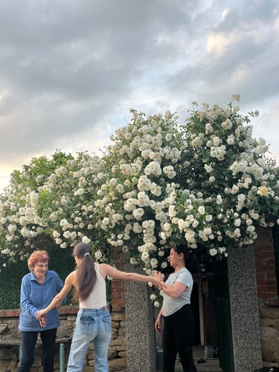 The image depicts three women outdoors in what appears to be a garden or courtyard, under an overcast sky. The photo is rotated 90 degrees counter-clockwise from its natural orientation.

In the corrected orientation, a large, dense bush covered in numerous white roses dominates the right and central parts of the frame. On the right side, partially obscured by the roses and a brick wall behind them, stands a woman with dark hair wearing a light grey t-shirt and dark pants. She is looking downwards with her right arm extended towards the center.

In the middle of the frame, another woman with long dark hair, wearing a white tank top and light blue jeans, is also extending her right arm. Her hand appears to be touching or reaching towards the hand of the first woman, suggesting a tender or supportive interaction. She is looking towards the first woman.

On the left side, slightly in front of the rose bush, an older woman with reddish-blonde hair wears a blue jacket and dark pants. She is observing the interaction between the other two women, facing towards the center-right.

Behind the women, a brick wall and a stone or concrete ledge/structure are visible, adding to the garden setting. The sky in the upper left is predominantly cloudy, indicating a daytime scene with soft, diffused light. There is no visible text in the image. The scene conveys a sense of calm and connection in the context of a floral outdoor environment in Lozarevo, Bulgaria.