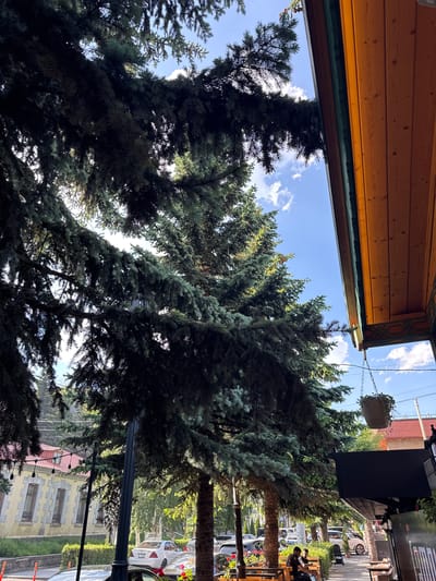 The image depicts a street scene in Tsakhkadzor, Armenia, characterized by lush green trees and a building with a wooden overhang. In the foreground, large conifer trees dominate the frame, their branches casting shadows. To the right, a building's roofline with a warm wooden ceiling and decorative green trim is visible. The sky is blue with scattered white clouds.
In the middle ground, a light-colored building with a red-tiled roof and distinct stone window frames is visible. A street light stands in front of it. A line of cars is parked along the street, including a white sedan and other vehicles.
Further in the background, more trees and buildings can be observed, suggesting a developed urban environment. On a sidewalk to the right, two individuals are seated on a bench, facing away from the camera. One is wearing a dark t-shirt, and the other is in a lighter colored shirt. A stroller is parked nearby. A hanging planter with greenery is suspended from chains to the right of the building's overhang. The overall impression is a sunny day in a pleasant, tree-lined street.