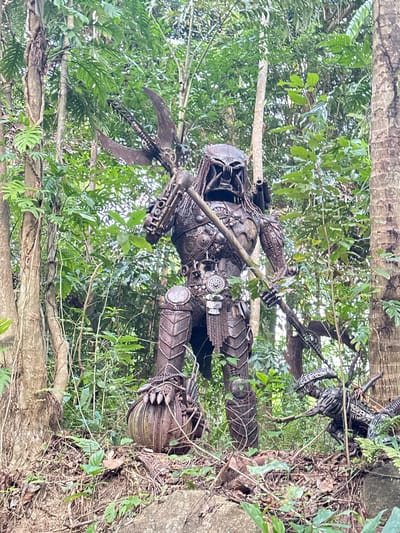 In the city of Baan Lipa Noi, Thailand, a life-sized sculpture resembling the Predator from the film franchise stands amidst lush green foliage. The sculpture, constructed from metal, is positioned centrally in the frame, holding a metallic spear-like weapon over its right shoulder. The figure's intricate details, including its iconic mask and armored body, are clearly visible. To the right of the Predator sculpture, partially obscured by vegetation, another metallic sculpture resembling a Xenomorph, a creature from the Alien film series, is visible. The environment is characterized by dense tropical vegetation, with large trees and various plants surrounding the sculptures, suggesting an outdoor, possibly jungle-like setting. The ground is covered with leaves and some rocks.
