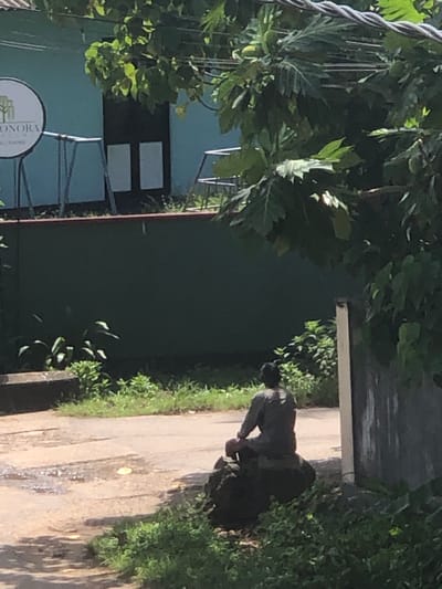 A person is sitting on a rock on a dirt path in Kabalana, Sri Lanka. The person is wearing a dark long-sleeved shirt and pants, and their back is to the camera. The path is wet in places, with some puddles. To the left of the path is a green wall, and behind that is a light blue building with a circular sign. To the right of the path is a dark wall and some foliage. Trees and branches are visible in the foreground, obscuring some of the view. The scene appears to be outdoors in daylight.