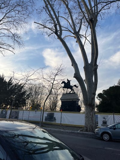 The image, rotated 90 degrees clockwise, presents an upward view of a public space in Roma, Italy, likely during winter or early spring. Large, bare deciduous trees with thick, grey branches dominate the foreground and middle ground, forming intricate patterns against a blue sky with scattered white clouds.
In the middle distance, a dark equestrian statue is prominently featured. The statue depicts a person on a rearing horse, mounted on a substantial, dark pedestal, silhouetted against the sky. Behind the statue, a temporary construction barrier or hoarding is visible, consisting of white panels framed by yellow and black striped tape. These panels display faint black-and-white images, possibly of the monument itself, along with some illegible text or symbols.
A silver or light grey car is parked on the street on the right side of the frame, with only its rear section and a wheel visible. In the immediate bottom right, the reflective surface of a darker car's windshield mirrors the bare tree branches and the sky, creating a distorted reflection. The overall scene is static, devoid of people, and captures an urban setting under clear skies, possibly during the day, with a significant monument undergoing maintenance or renovation.