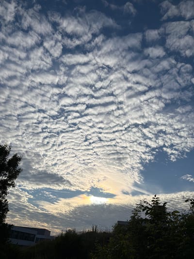 The image shows a sky filled with altocumulus undulatus clouds, characterized by their wave-like patterns. The sun is partially obscured by these clouds, creating a bright, radiant effect with a hint of a sun dog or iridescence. In the foreground, silhouetted trees and shrubs frame the lower part of the scene. Behind the vegetation, a modern building complex with angular architecture is visible. The scene appears to be set in Leudelange, Luxembourg, likely during the daytime given the presence of the sun.