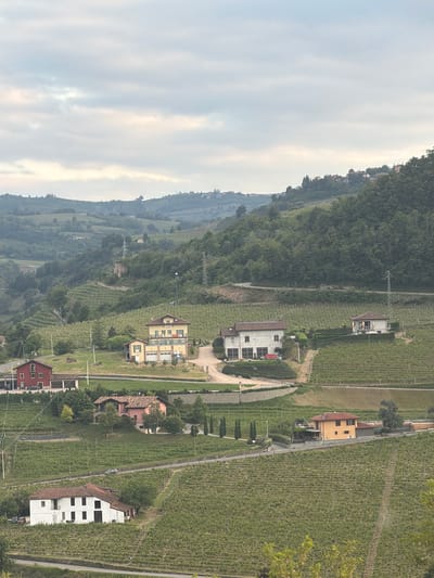 A landscape-oriented photograph shows a view of Santo Stefano Belbo, Italy, with the sky on the left, a mountain range with tree cover transitioning into a vineyard area interspersed with structures. The vineyard is on the right, exhibiting rows of grapevines. Several buildings, in varying architectural styles and color schemes, are positioned within the landscape, near a road. The sky is overcast, appearing dull with a mix of cloud cover and sunlight. The trees are lush with greenery. The landscape is mostly green, and there is visible haze in the distance.