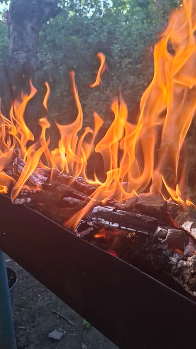 The image depicts a close-up view of a bonfire burning in a dark metal brazier, likely outdoors. The fire is intense, with bright orange and yellow flames consuming split logs of wood. The logs appear to be dry and are stacked within the brazier, with some glowing embers visible beneath the flames. In the background, out of focus, is a dense green foliage of trees and bushes, suggesting a natural or park-like setting. The ground beneath the brazier is dark and appears to be dirt or gravel, with some scattered twigs and small stones. The lighting suggests it is either dusk or the scene is shaded, as the primary light source is the fire itself. There are no people visible in the frame, and the focus is entirely on the fire and the immediate surroundings. The image is taken from a slightly elevated perspective, looking down into the brazier. The location is identified as Шұбарсу, Kazakhstan.