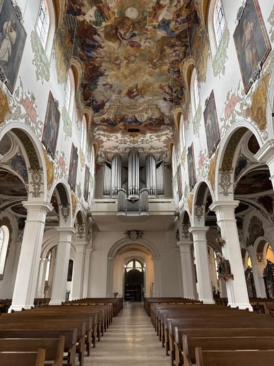 This image depicts the interior of the Catholic Parish Church of St. Martin in Biberach an der Riß, Germany. The view is from the back of the church, looking towards the altar. The ceiling features ornate baroque-style artwork including frescoes and framed paintings. Large organ pipes are visible in the midground, above the rows of pews running down the nave. The walls are white with arched openings and decorative moldings. The floor is light-colored, and a glimpse of the entrance can be seen at the far end of the church. There are no people visible in the image.